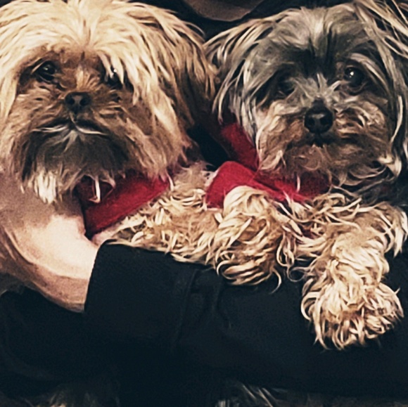 Meet your Posher, T - Picture 1 of 1